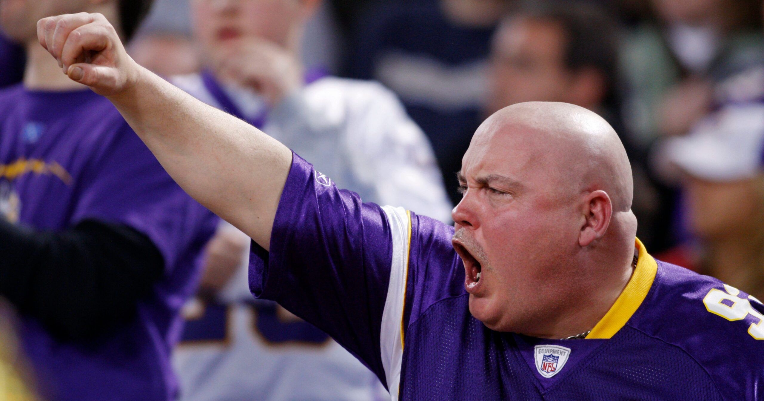 Vikings fan in 2009