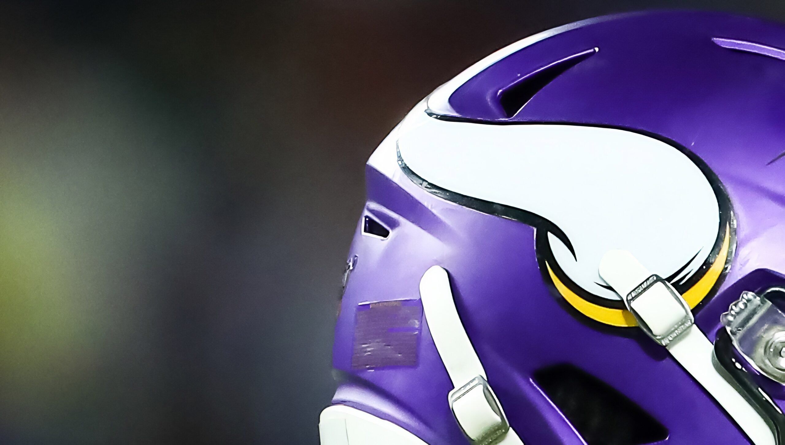 Anthony Harris and Xavier Rhodes, two Vikings defenders. in 2019