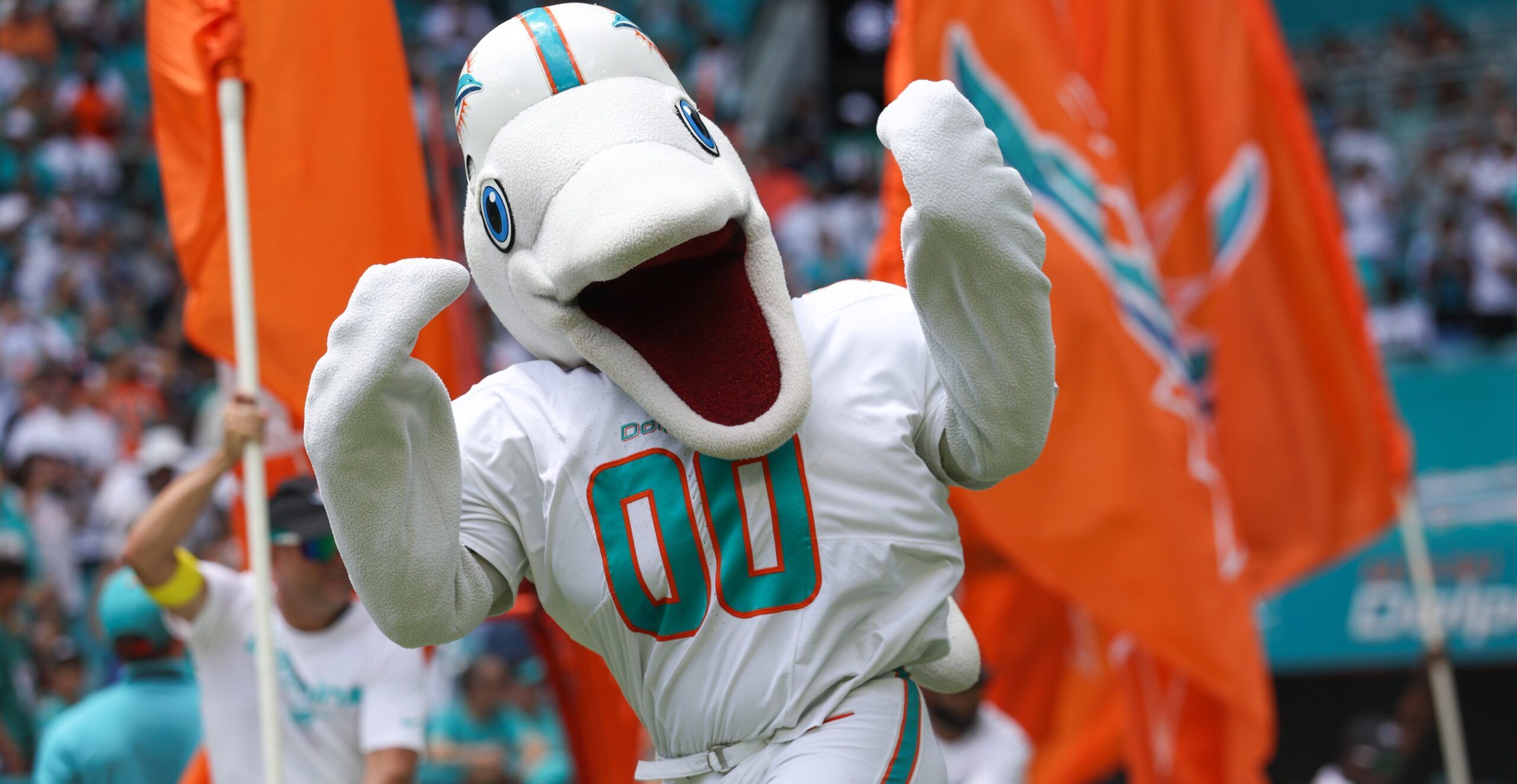 Miami Dolphins mascot in 2025