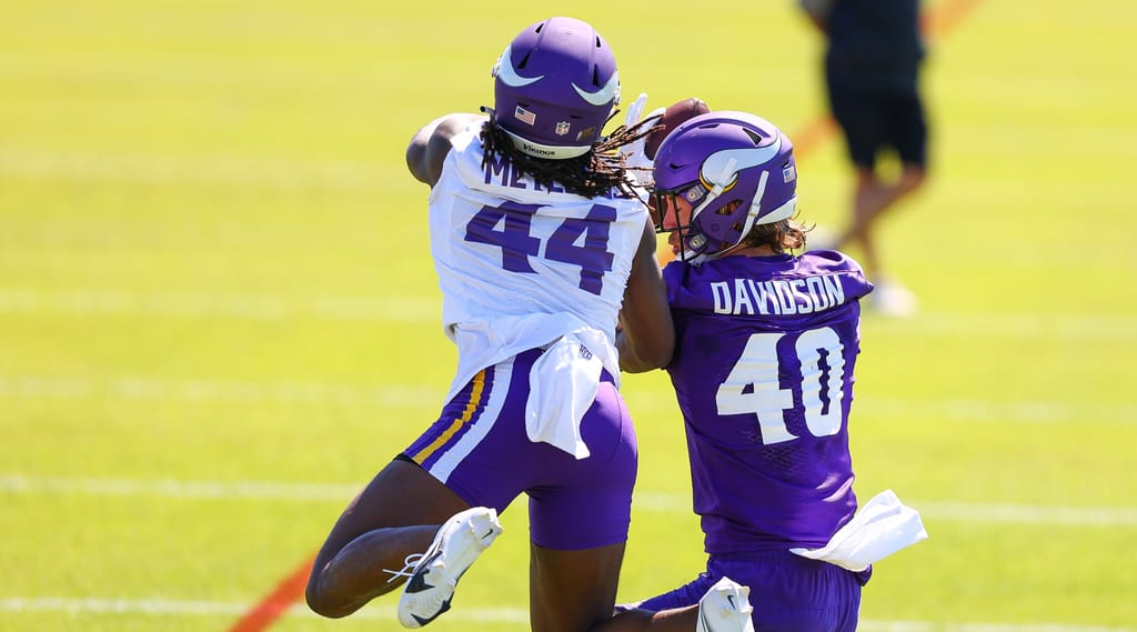 Vikings Have a Sleeper TE