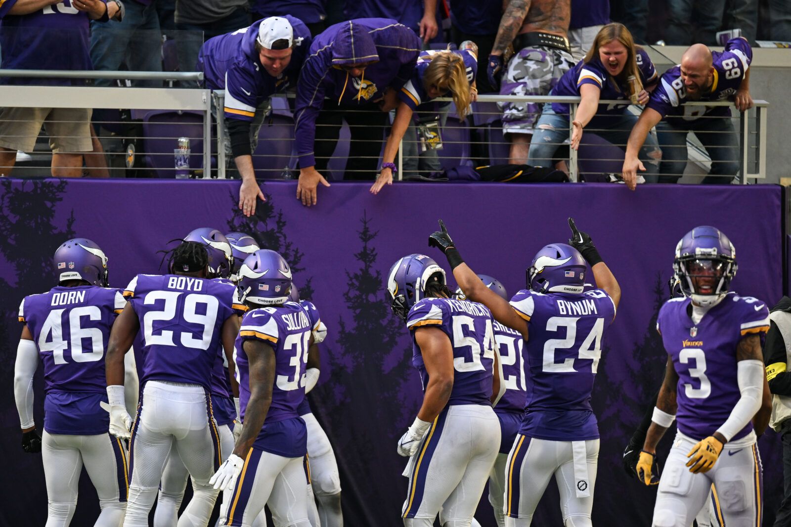 Vikings players celebrate with fans late in a win over the Lions.