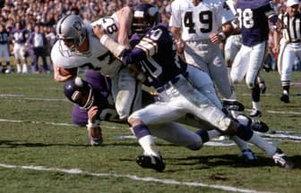 Vikings Raiders
