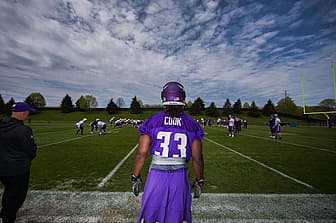 Image courtesy of Vikings.com