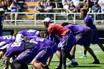 Vikings