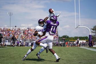 Vikings Training Camp