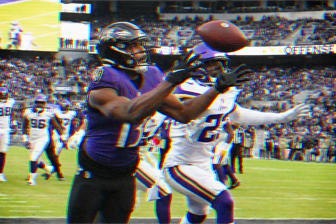 Ravens