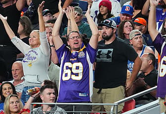 Minnesota Vikings fans watch from the stands during a preseason game against the Denver Broncos.