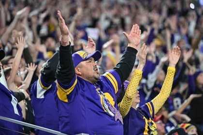 Vikings fans react during a home game against the Patriots.
