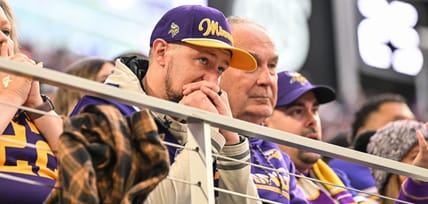 Minnesota Vikings fans in Week 10 of 2025 watching the Ravens.