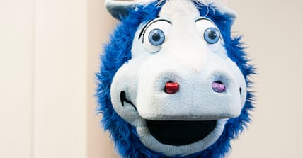 The Colts Mascot in 2025.