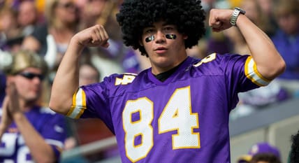 Vikings fan in a Randy Moss jersey in 2017.