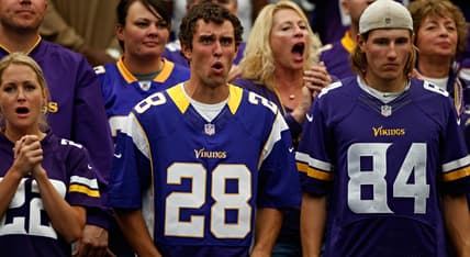 A Minnesota Vikings fan reacts in the stands during the team’s 2013 home game against the Browns at the Metrodome.
