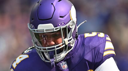 Vikings LB Kamu Grugier-Hill in 2024