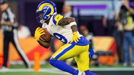 Vikings Add Super Bowl Champion WR