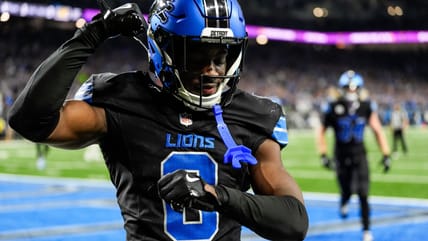 Lions Defender Kicked Vikings' Hornet Nest