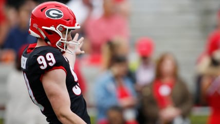 Georgia punter Brett Thorson in 2022