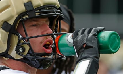 Purdue safety Dillon Thieneman in 2024