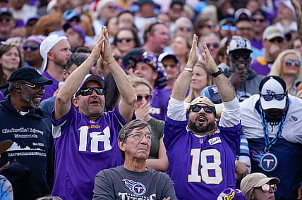 Minnesota Vikings fans cheer after an end zone penalty against the Titans.
