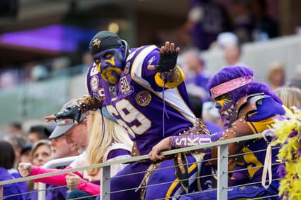 A Minnesota Vikings fan at U.S. Bank Stadium in 2017 in a game versus the Ravens.