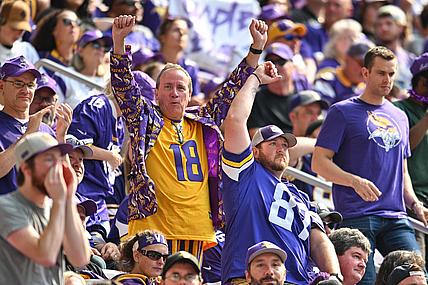 Vikings fans react in the stands during the game against Tampa Bay.