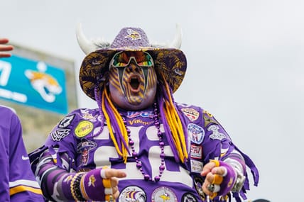 Vikings fan cheers in stands during game vs. Jaguars.