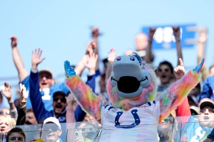 Colts Mascot in 2022