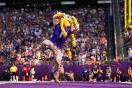 Vikings mascot Viktor in 2025