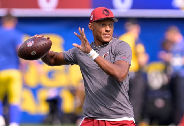 A Vikings Fan Shaved