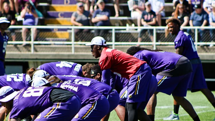 Vikings