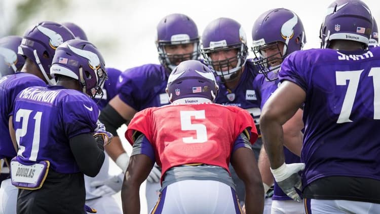 2016 Minnesota Vikings season