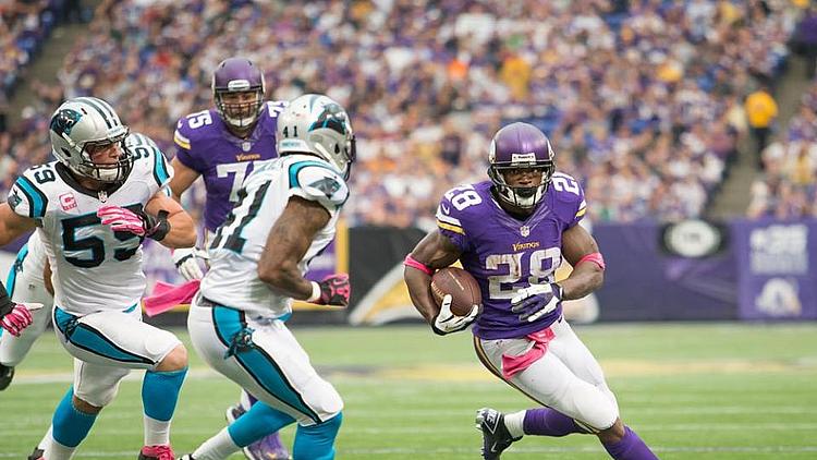 Adrian Peterson carries the ball against the Carolina Panthers.