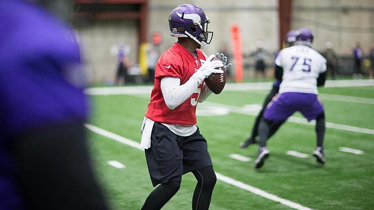 Vikings Norv Turner