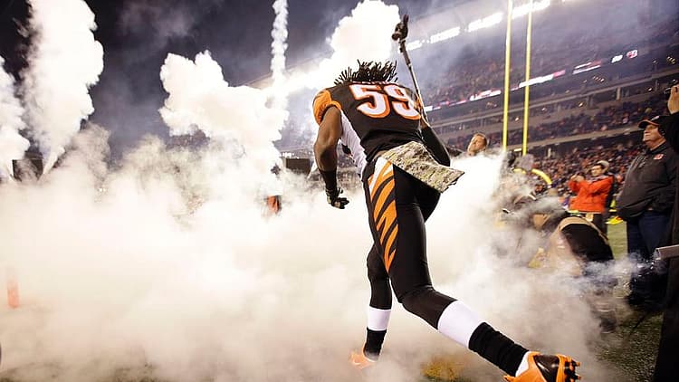 Vikings LB Emmanuel Lamur