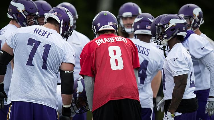 Image courtesy of Vikings.com