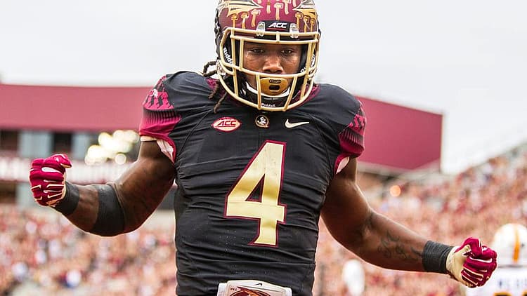 RB Dalvin Cook