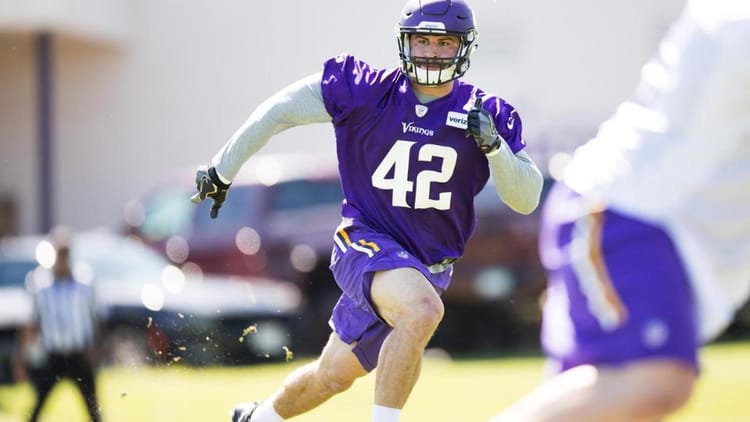 Image courtesy of Vikings.com