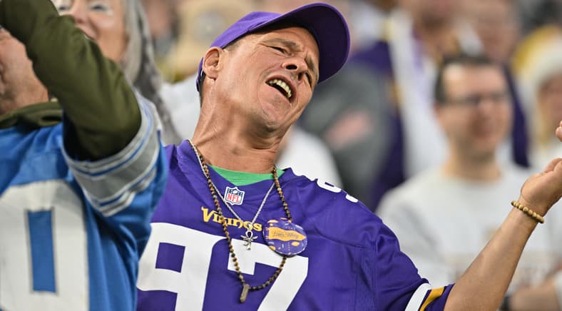 Vikings fans react from the stands during a game against the Lions.