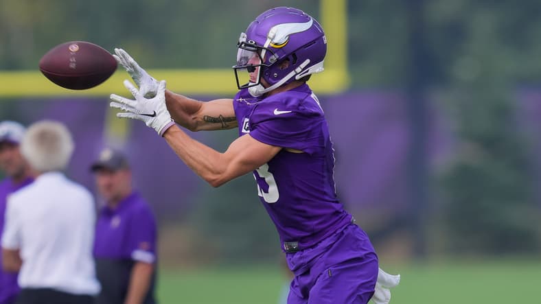 Vikings Waive Young WR