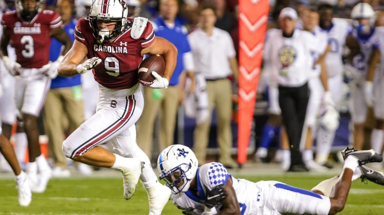 Vikings Waive Rookie TE