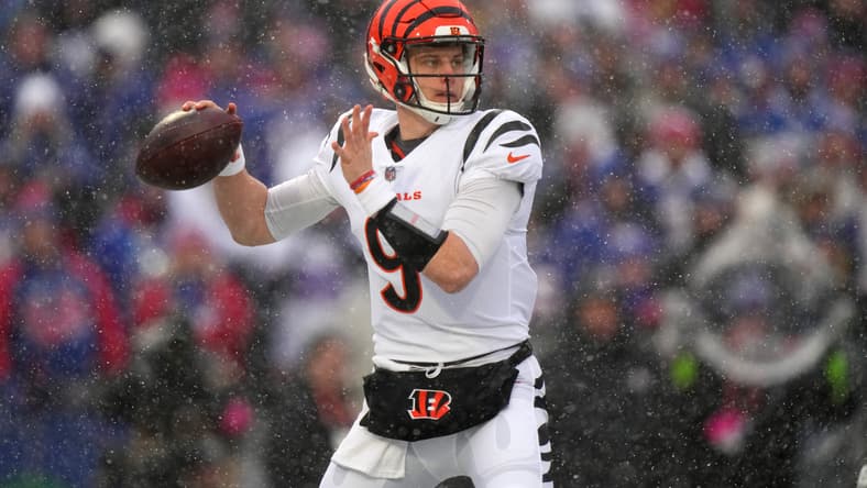 AFC/NFC Championship Picks