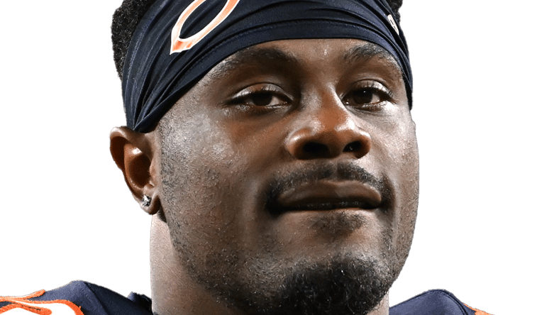 Vikings Will See 7 Old Friends on Bears Roster