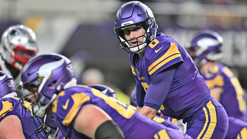 Vikings Fans Have Majority