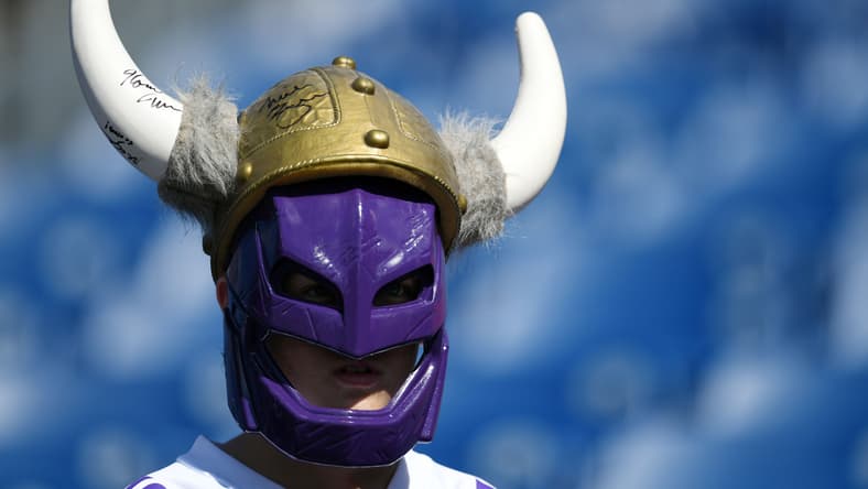 Minnesota Vikings fan in purple and gold before game against Tennessee Titans at Nissan Stadium.