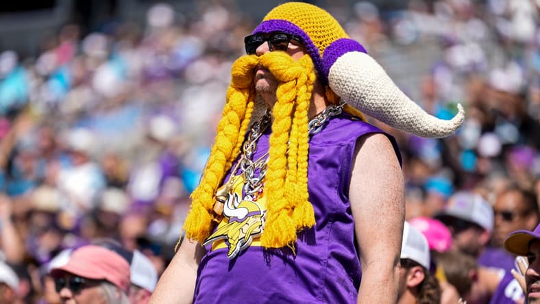 Minnesota Vikings fans cheer from the stands during the team’s road game against the Carolina Panthers in Charlotte.