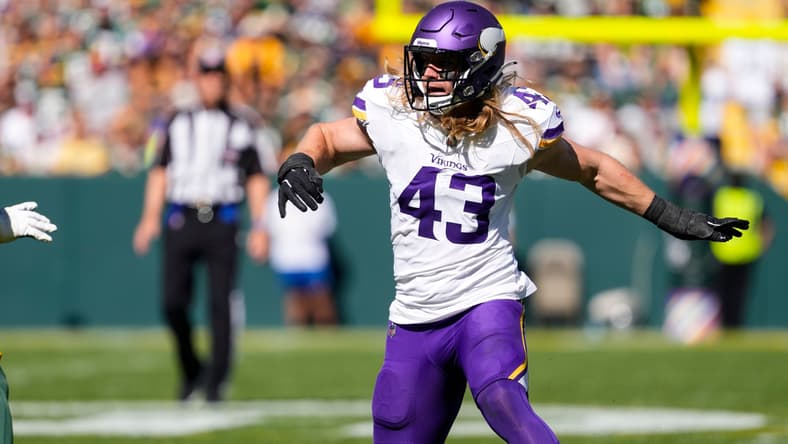 Andrew Van Ginkel during Vikings-Packers game at Lambeau Field in 2024.