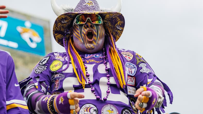 Vikings fan cheers in stands during game vs. Jaguars.