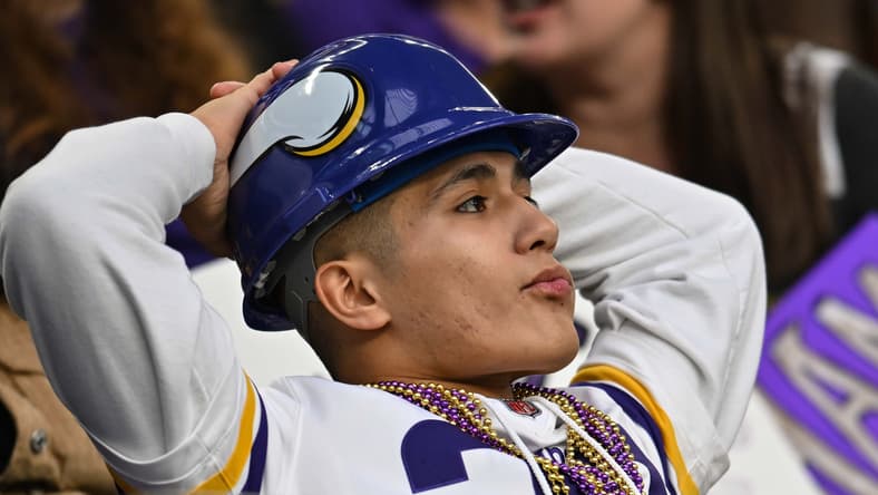Vikings fans react during game vs. Colts at U.S. Bank Stadium.