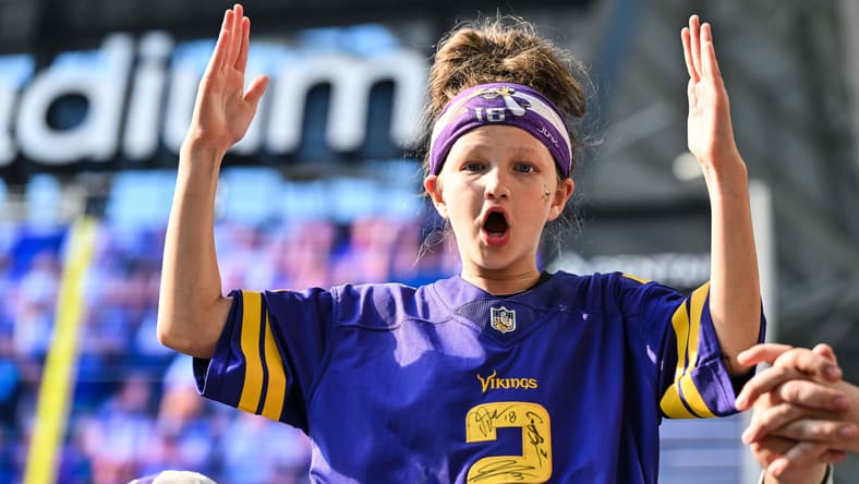 Vikings fans react during a game against the Detroit Lions at U.S. Bank Stadium.