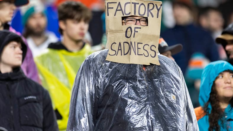 A Cleveland Browns fan in 2024 with a bag over his head.