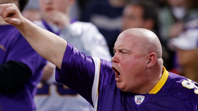Vikings fan in 2009